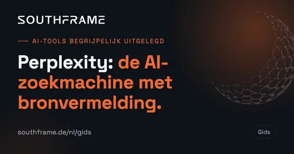 Perplexity – omslagbeeld van de gids